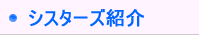 220v�V�X�^�[�Y�Љ�